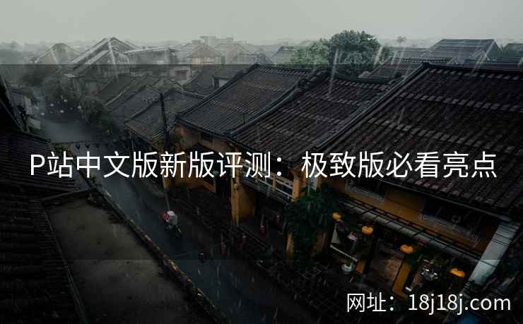 P站中文版新版评测：极致版必看亮点