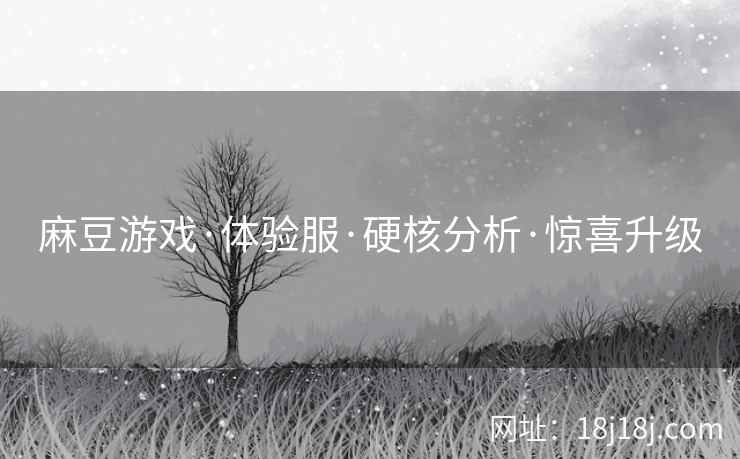 麻豆游戏·体验服·硬核分析·惊喜升级