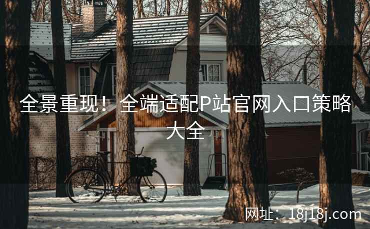 全景重现！全端适配P站官网入口策略大全