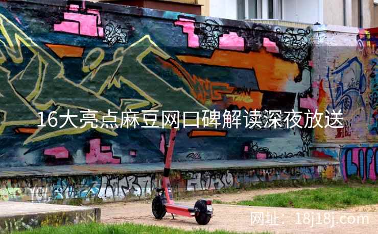 16大亮点麻豆网口碑解读深夜放送