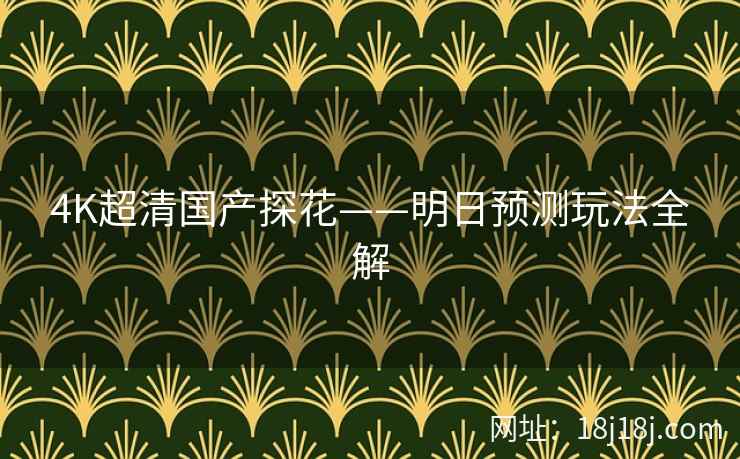 4K超清国产探花——明日预测玩法全解