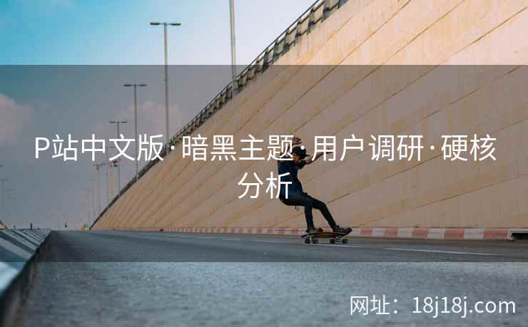 P站中文版·暗黑主题·用户调研·硬核分析