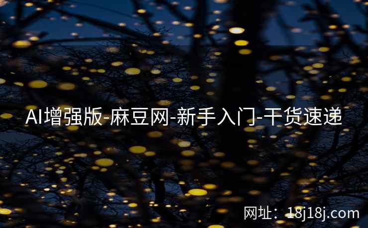 AI增强版-麻豆网-新手入门-干货速递