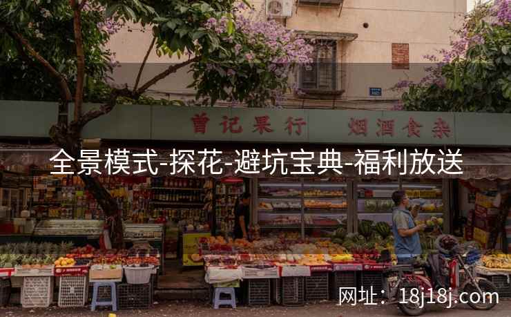 全景模式-探花-避坑宝典-福利放送